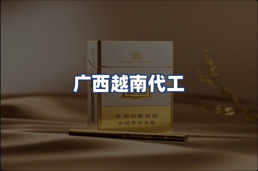 广西越南代工